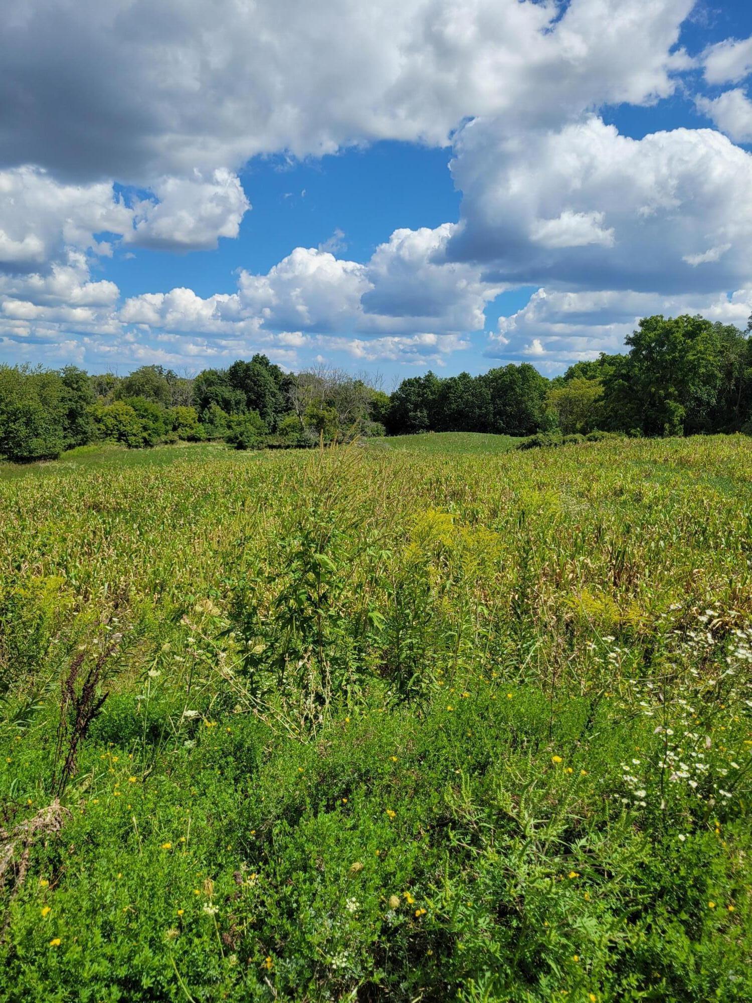 Lt0 Maple Avenue Sussex, WI 53089 - Photo 2 of 9 Sussex Land Parcel
