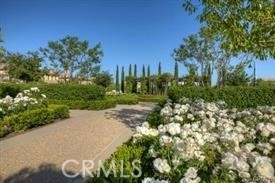 22 Sanctuary Irvine, CA 92620 - Photo 36 of 45 a view of a street with a tree