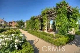 a view of a yard with plants