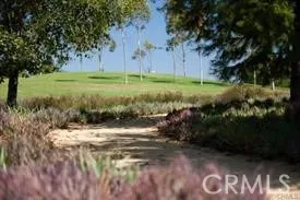 a view of a garden with an tree