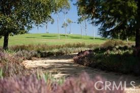 22 Sanctuary Irvine, CA 92620 - Photo 42 of 45 a view of a garden with an tree