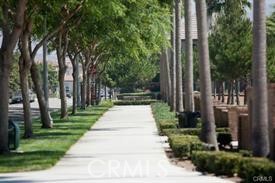 22 Sanctuary Irvine, CA 92620 - Photo 43 of 45 a view of park with large trees