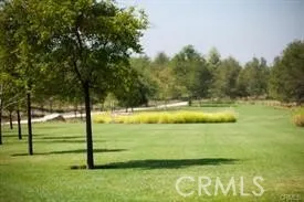 a view of swimming pool with a yard