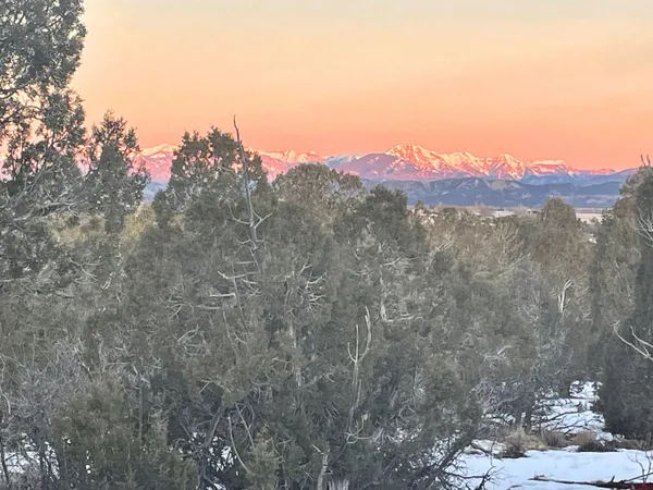 a view of a backyard of the house
