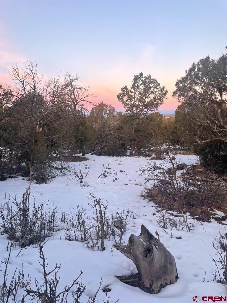 232 Rawhide Road Durango, CO 81303 - Photo 12 of 30