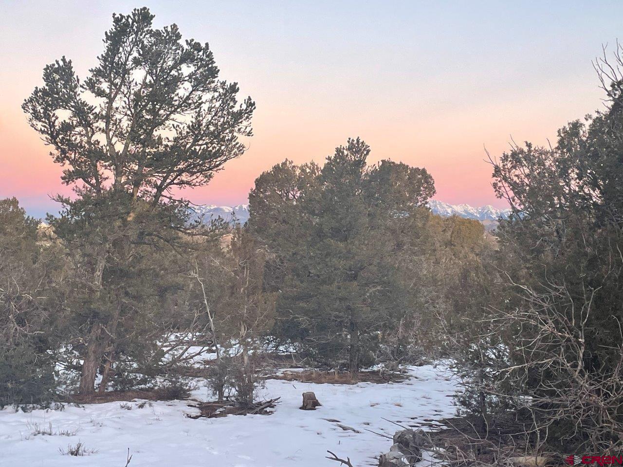 232 Rawhide Road Durango, CO 81303 - Photo 16 of 30 a view of a yard with a tree