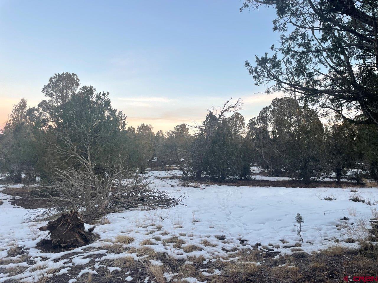 232 Rawhide Road Durango, CO 81303 - Photo 18 of 30