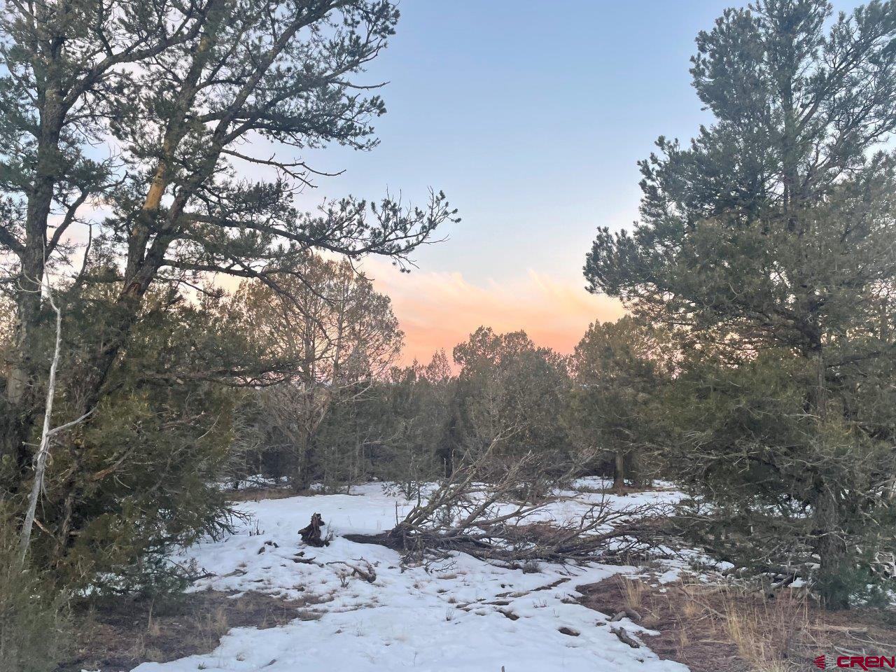 232 Rawhide Road Durango, CO 81303 - Photo 19 of 30 a view of a dirt road with trees in the background