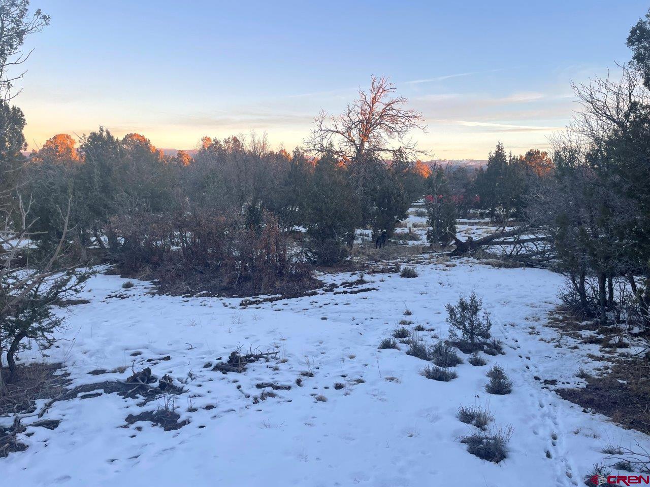 232 Rawhide Road Durango, CO 81303 - Photo 26 of 30 a view of a covered with trees in the background