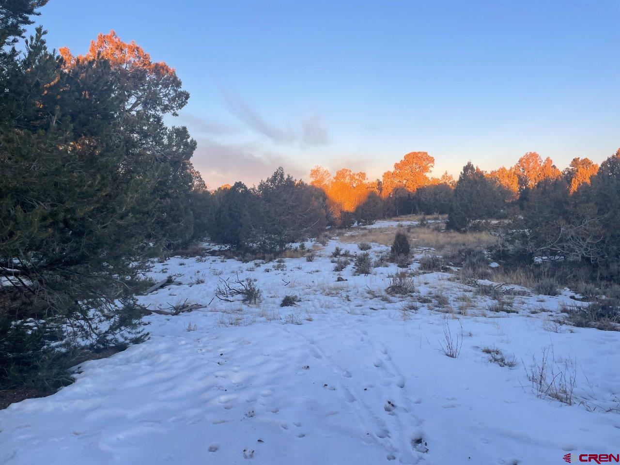 232 Rawhide Road Durango, CO 81303 - Photo 27 of 30 a view of a dry yard