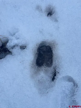 $240,000 | 232 Rawhide Road, Durango, CO 81303