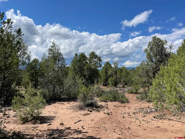 a view of a covered with trees in the background