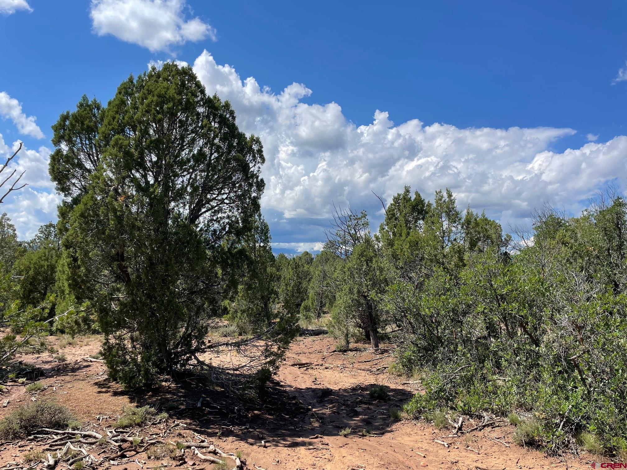 232 Rawhide Road Durango, CO 81303 - Photo 6 of 30