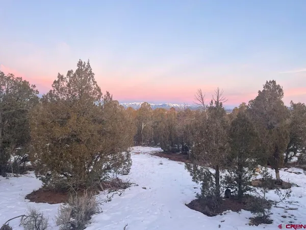 a view of a wooden floor with a snow in the background