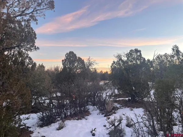 a view of a yard covered in snow