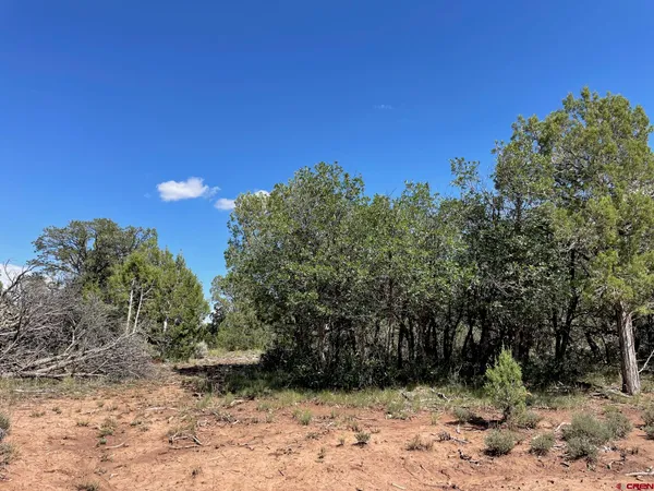 a view of a covered with snow in back yard