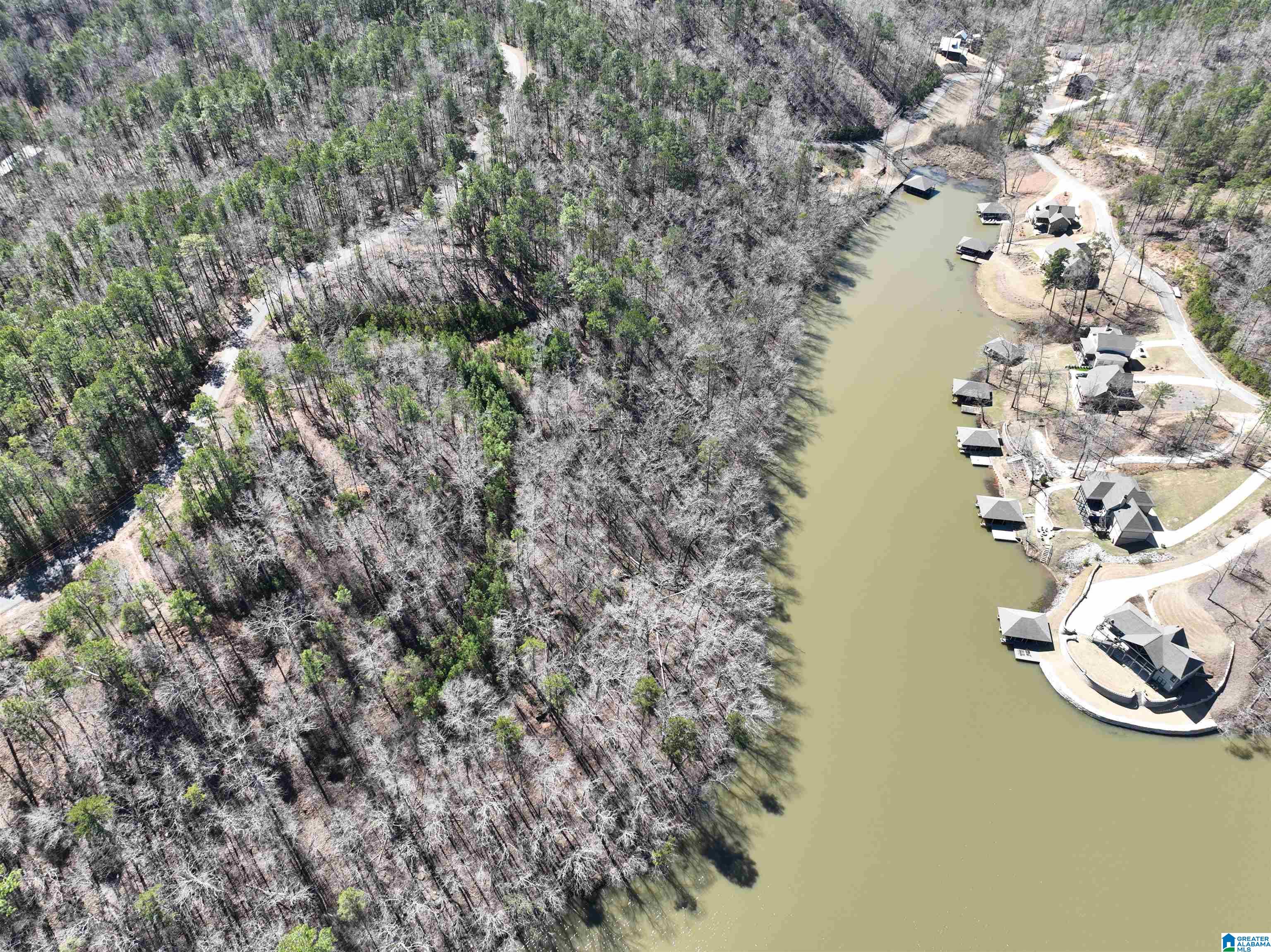 0 Preserve Road, Unit LOT 1 Rockford, AL 35136 - Photo 3 of 7