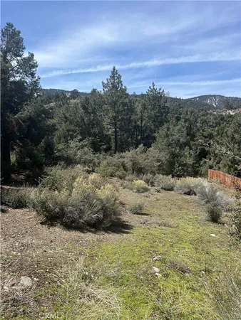 a view of ocean view with lots of trees