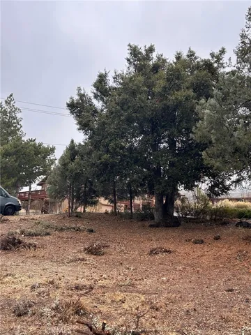 a view of car parked on road with trees