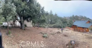 a view of a dry yard with trees