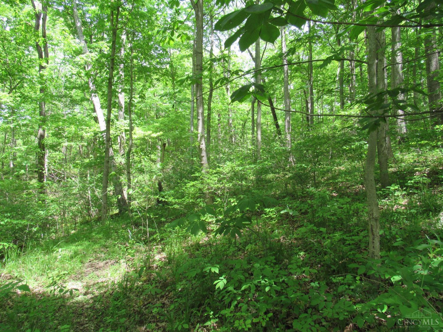 5491 Thomas Road Georgetown, OH 45121 - Photo 6 of 18