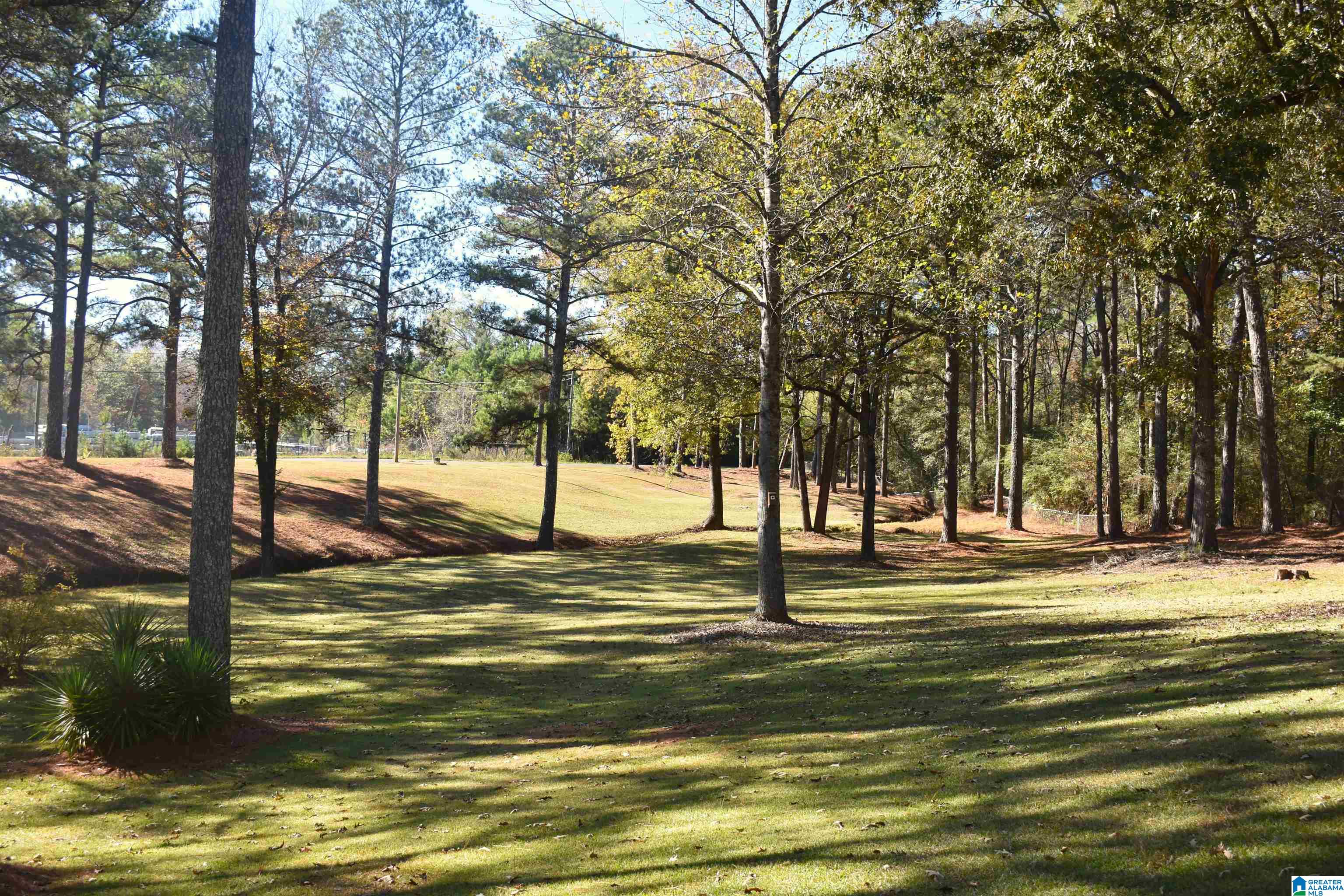 90 Chaley Springs Road Warrior, AL 35180 - Photo 23 of 23