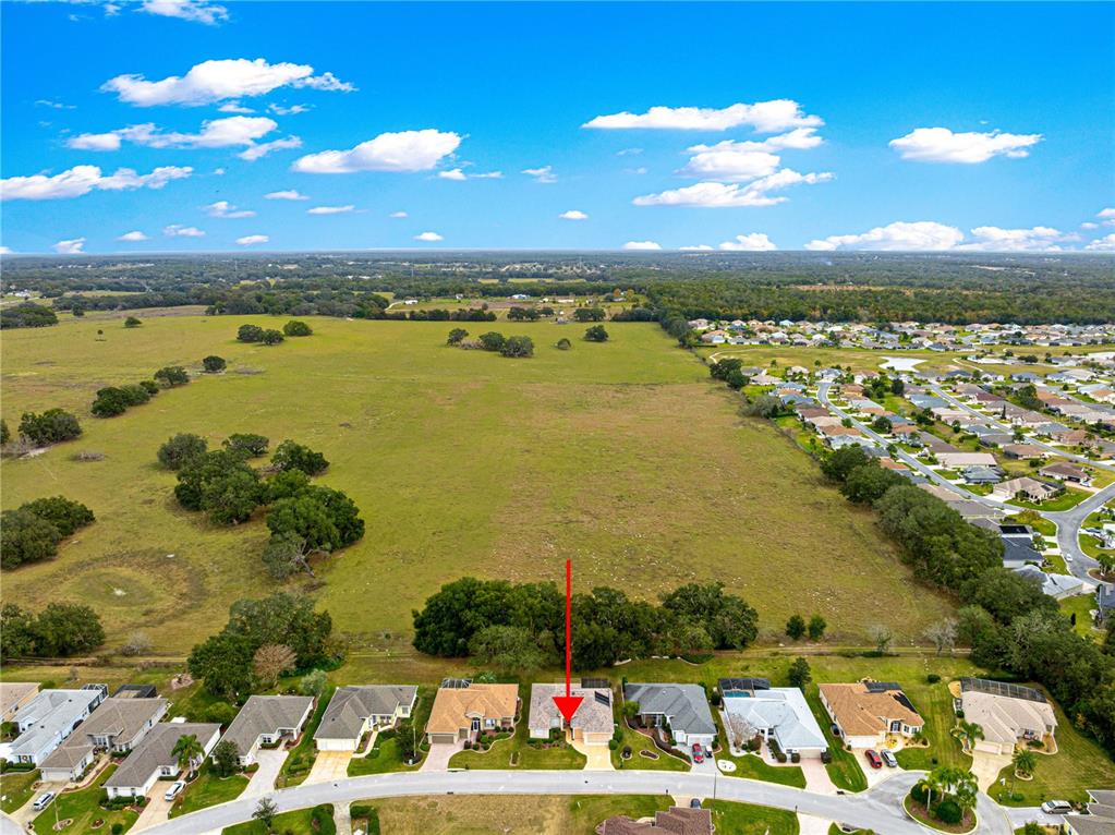 17187 Southeast 116th Court Road Summerfield, FL 34491 - Photo 47 of 59