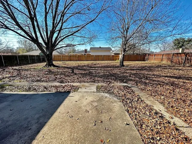 a view of a yard with a tree