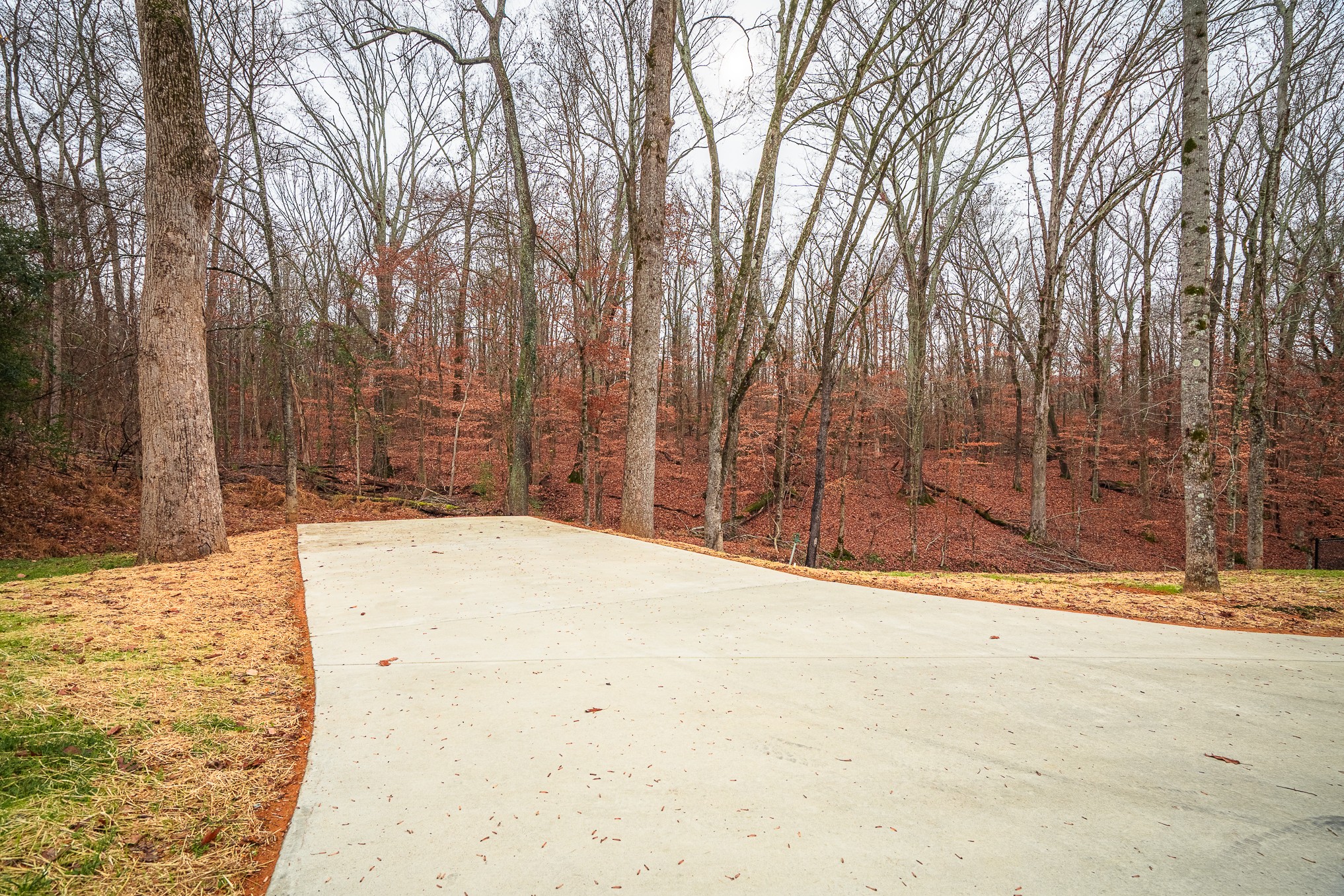 54 Spring Drive Killen, AL 35645 - Photo 6 of 75