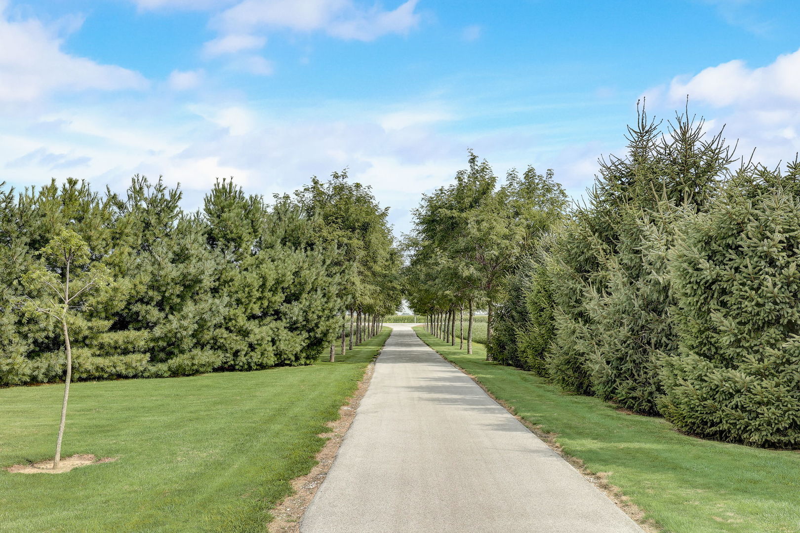 4234 East 12000th Road North Peotone, IL 60468 - Photo 2 of 62 a view of flowing water with large trees in the background