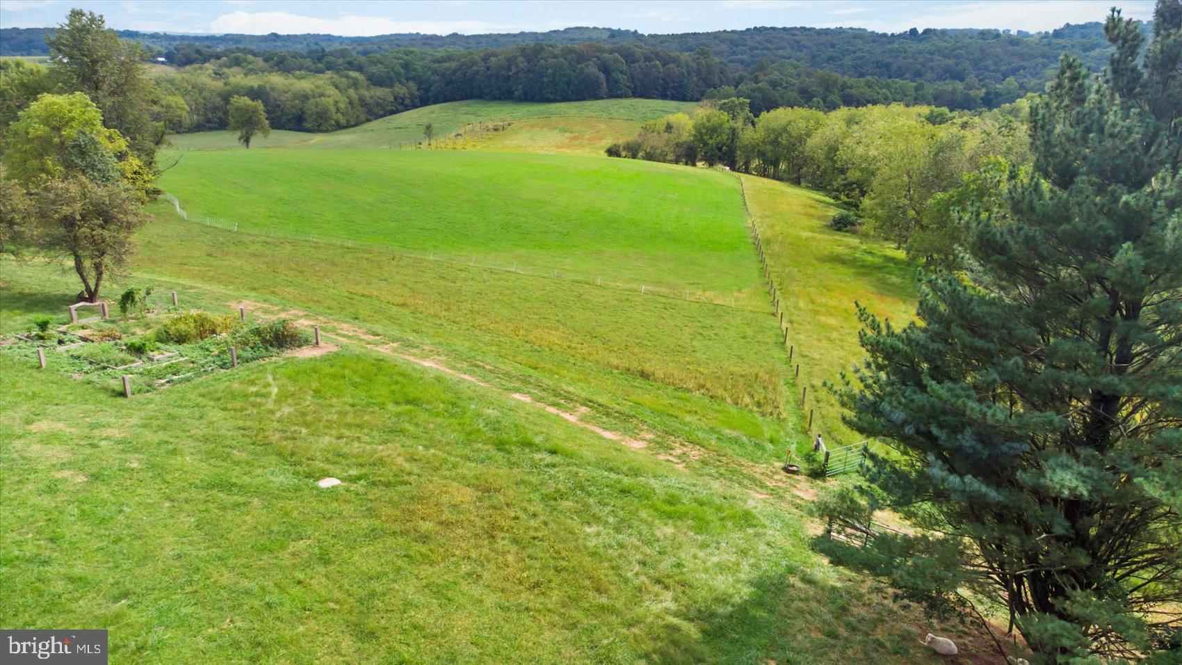 727 Muller Road Westminster, MD 21157 - Photo 57 of 74 View of farmland