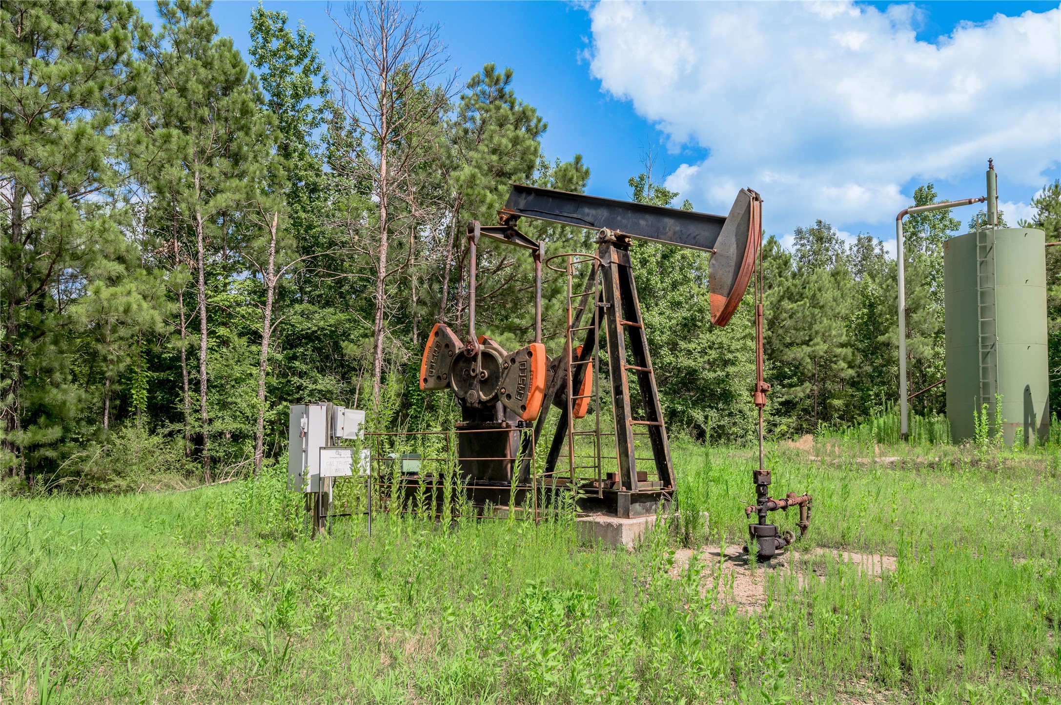 Na Gaston Road Apple Springs, TX 75926 - Photo 6 of 12