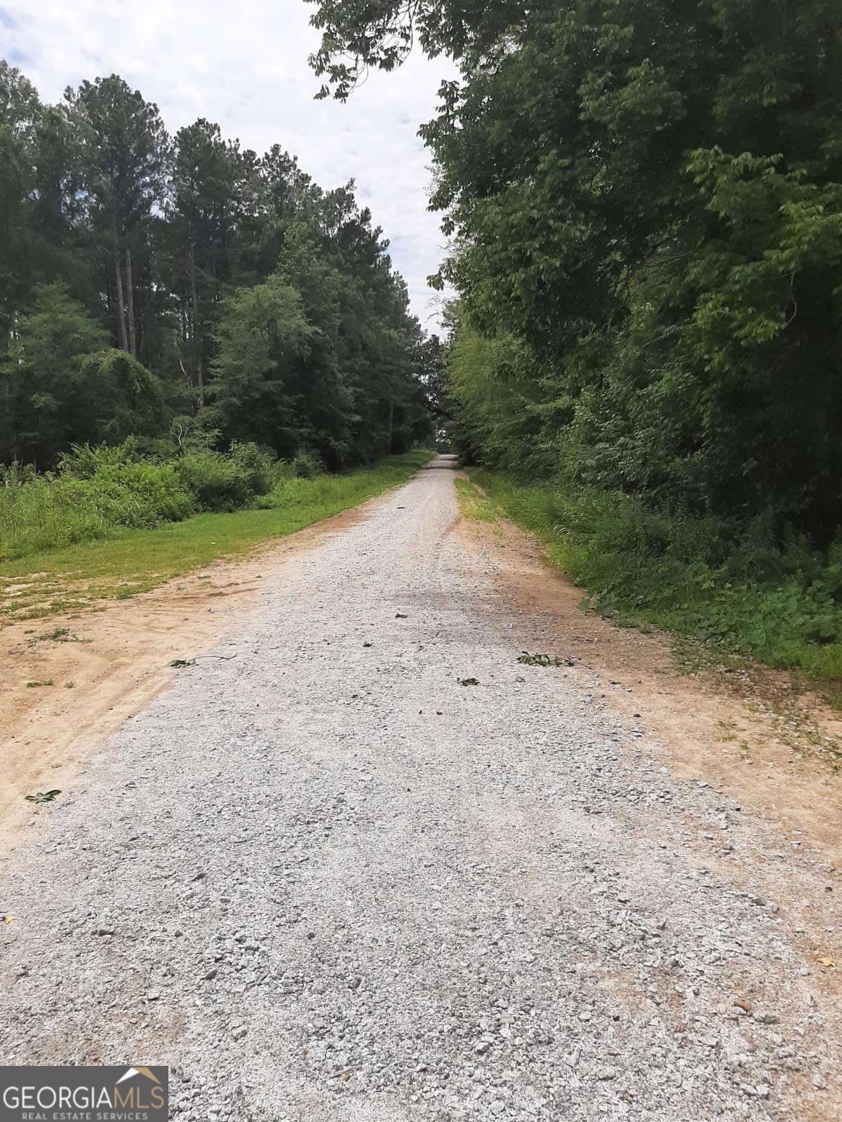 1201 Buffalo Lick Road Union Point, GA 30669 - Photo 3 of 3