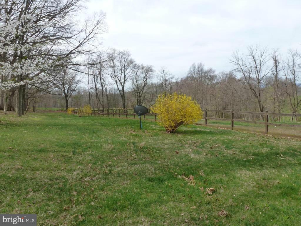 3580 Lander Road Jefferson, MD 21755 - Photo 24 of 30 Flowering dogwoods, cherries and forsythia