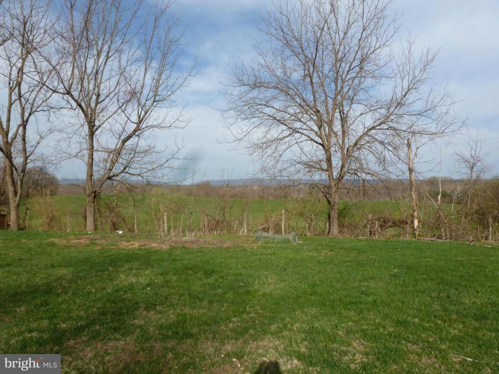 3580 Lander Road Jefferson, MD 21755 - Photo 30 of 30 View of horse farm and mountains