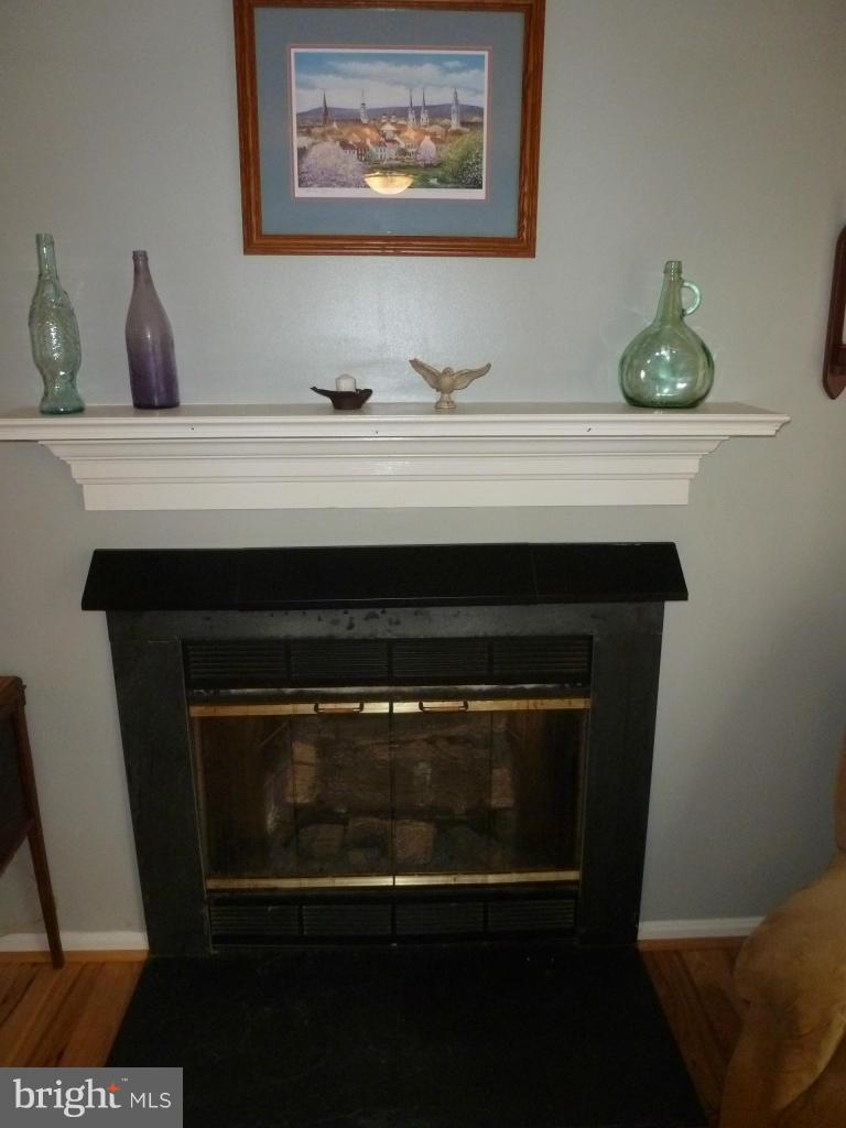 3580 Lander Road Jefferson, MD 21755 - Photo 10 of 30 Propane fireplace