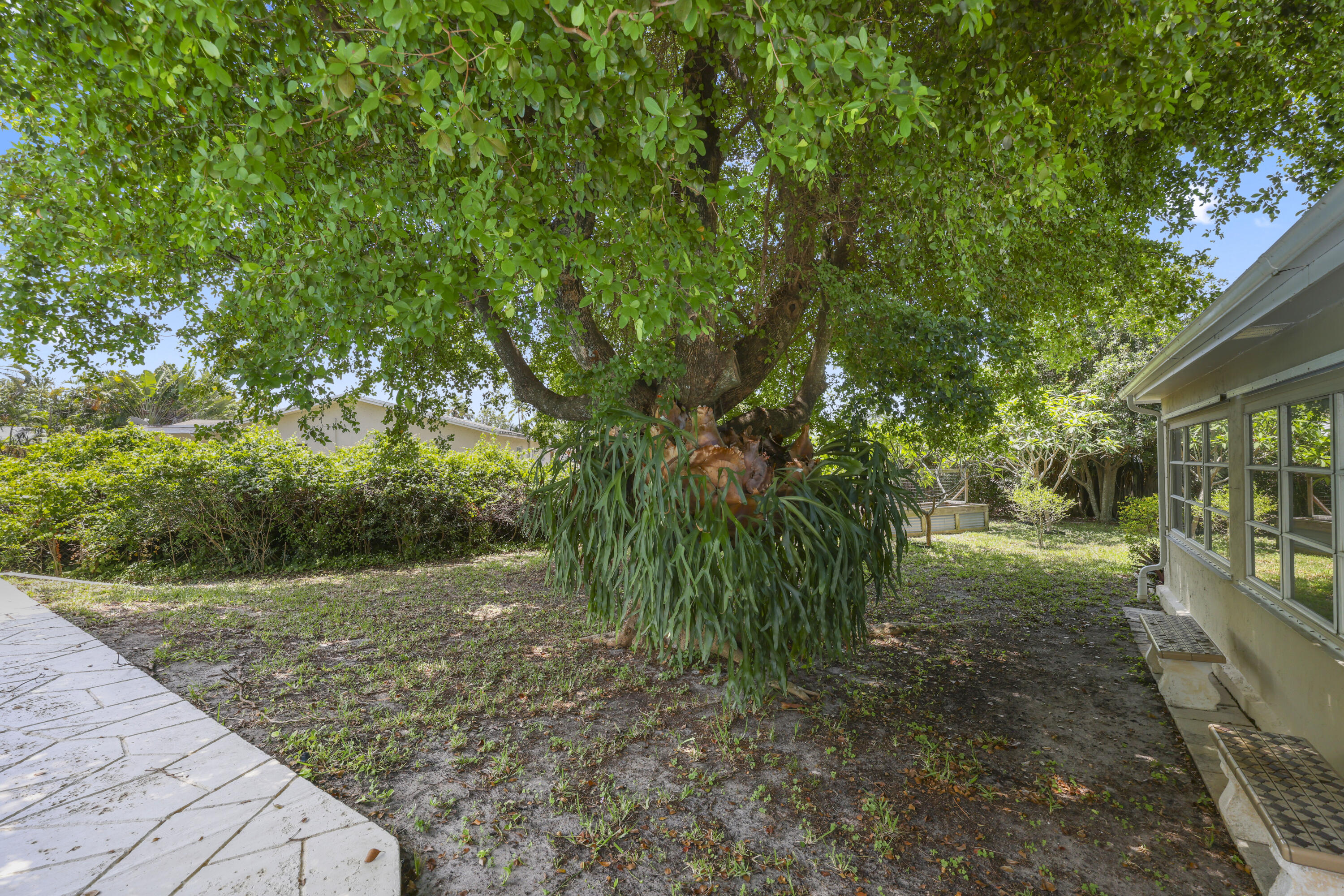 1720 Southwest 10th Street Boca Raton, FL 33486 - Photo 49 of 57 a view of a yard with plants and large trees