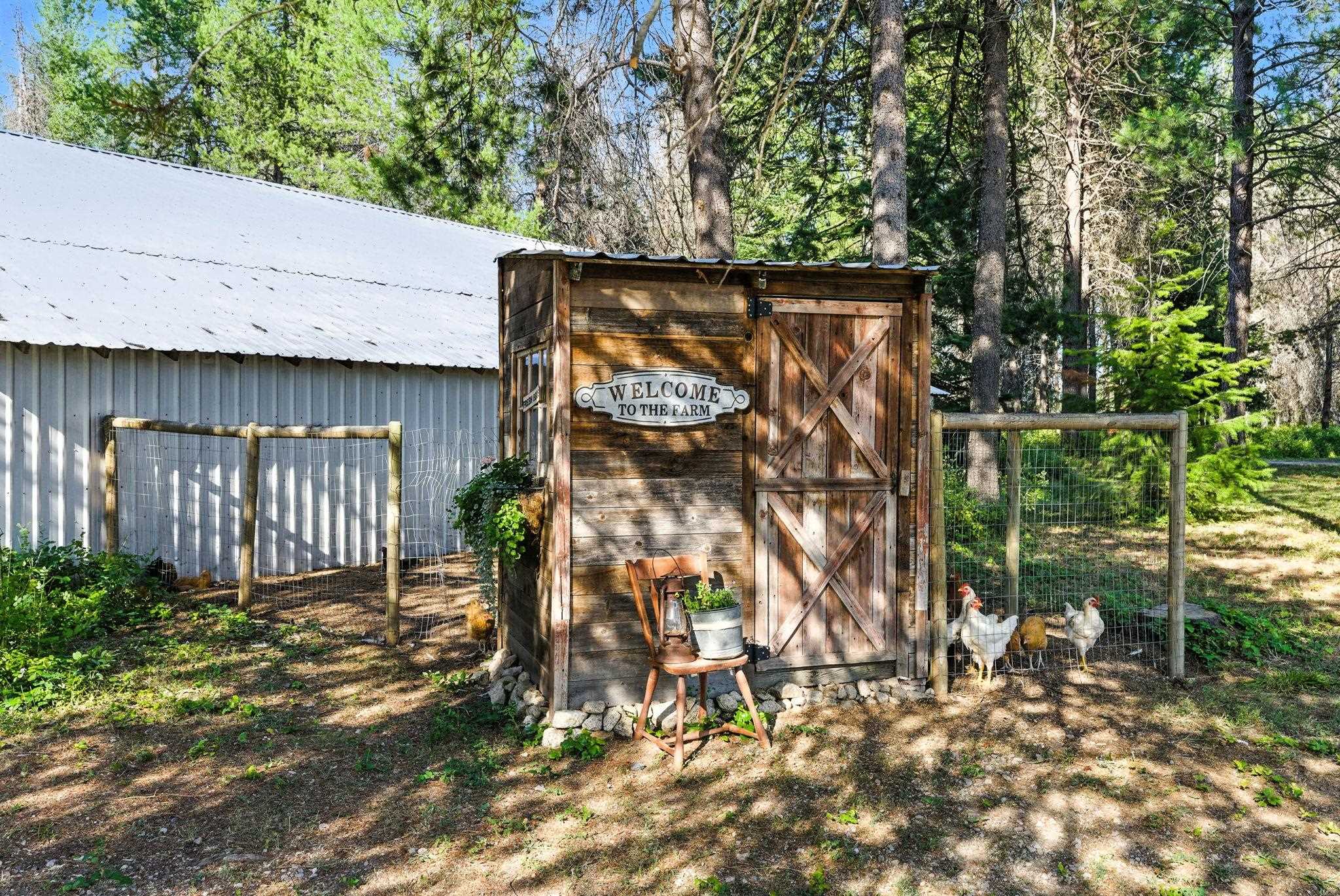 4596 Williams Valley Road Clayton, WA 99110 - Photo 36 of 50