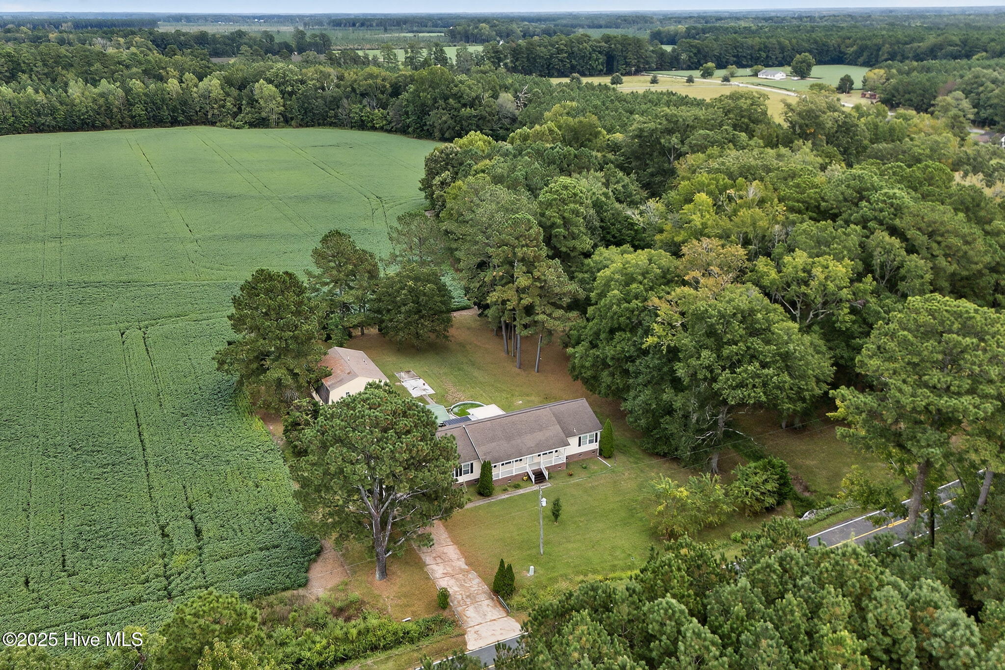 370 Hill Lane Road Eure, NC 27935 - Photo 42 of 48 44-web-or-mls-370-hill-lane-rd
