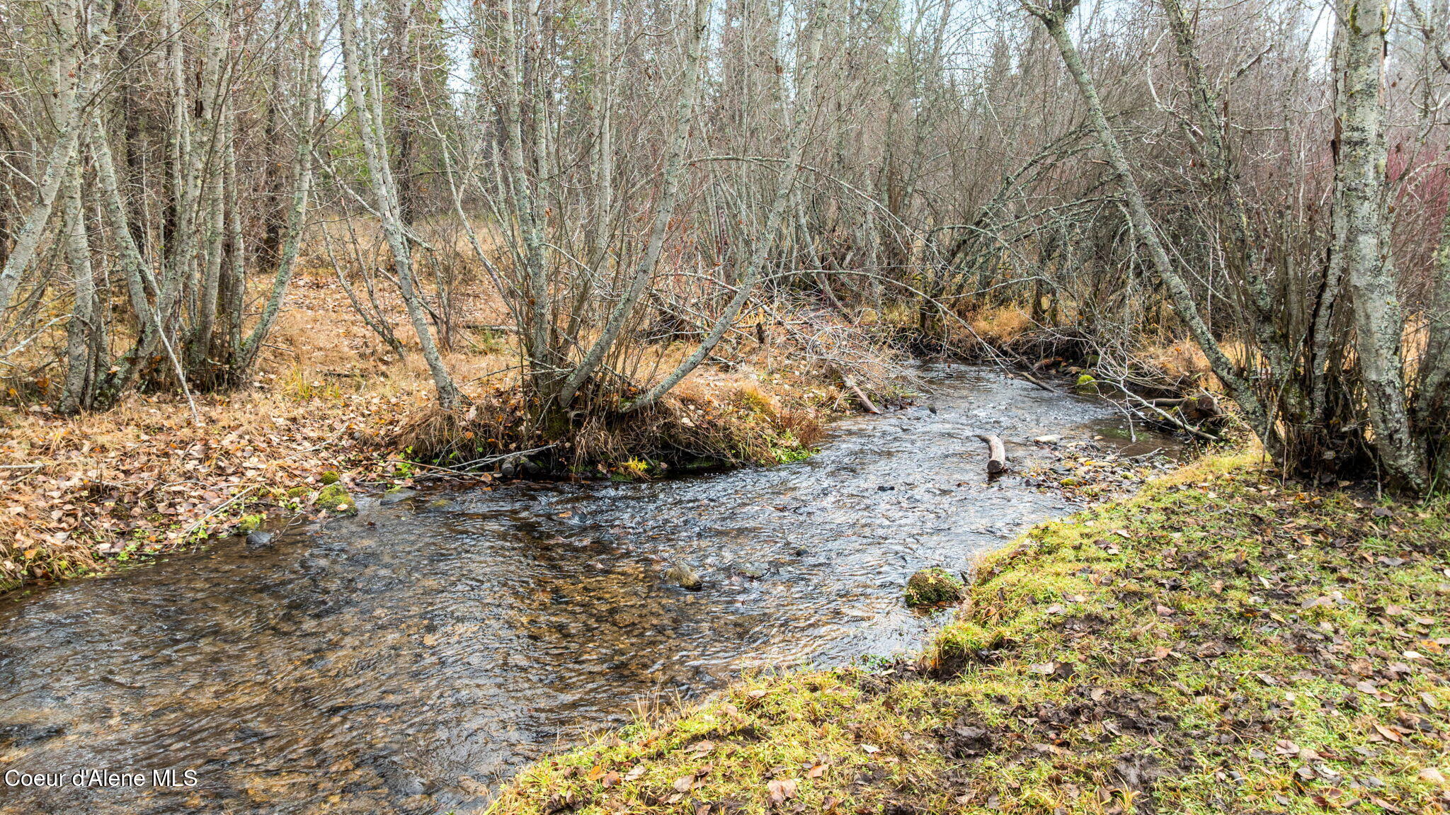 319 Crystal Creek Road Fernwood, ID 83830 - Photo 8 of 42 Crystal Creek