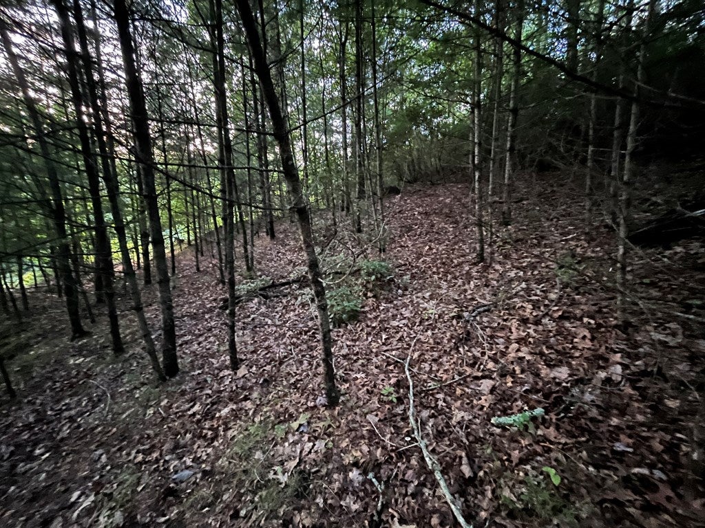0 Old Ferry Road, Unit 76A1B Galax, VA 24333 - Photo 5 of 23 Gallery Image 5