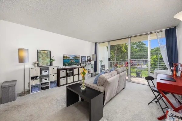 a living room with furniture a rug potted plant and a large window
