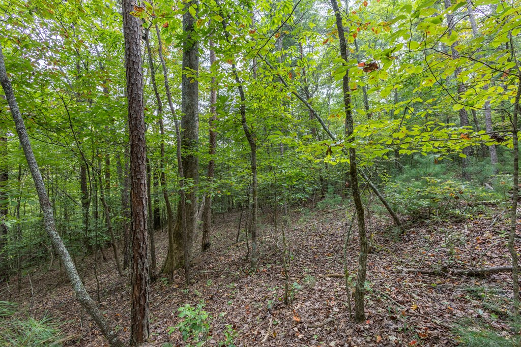 2-ac Horvath Road Murphy, NC 28906 - Photo 12 of 12