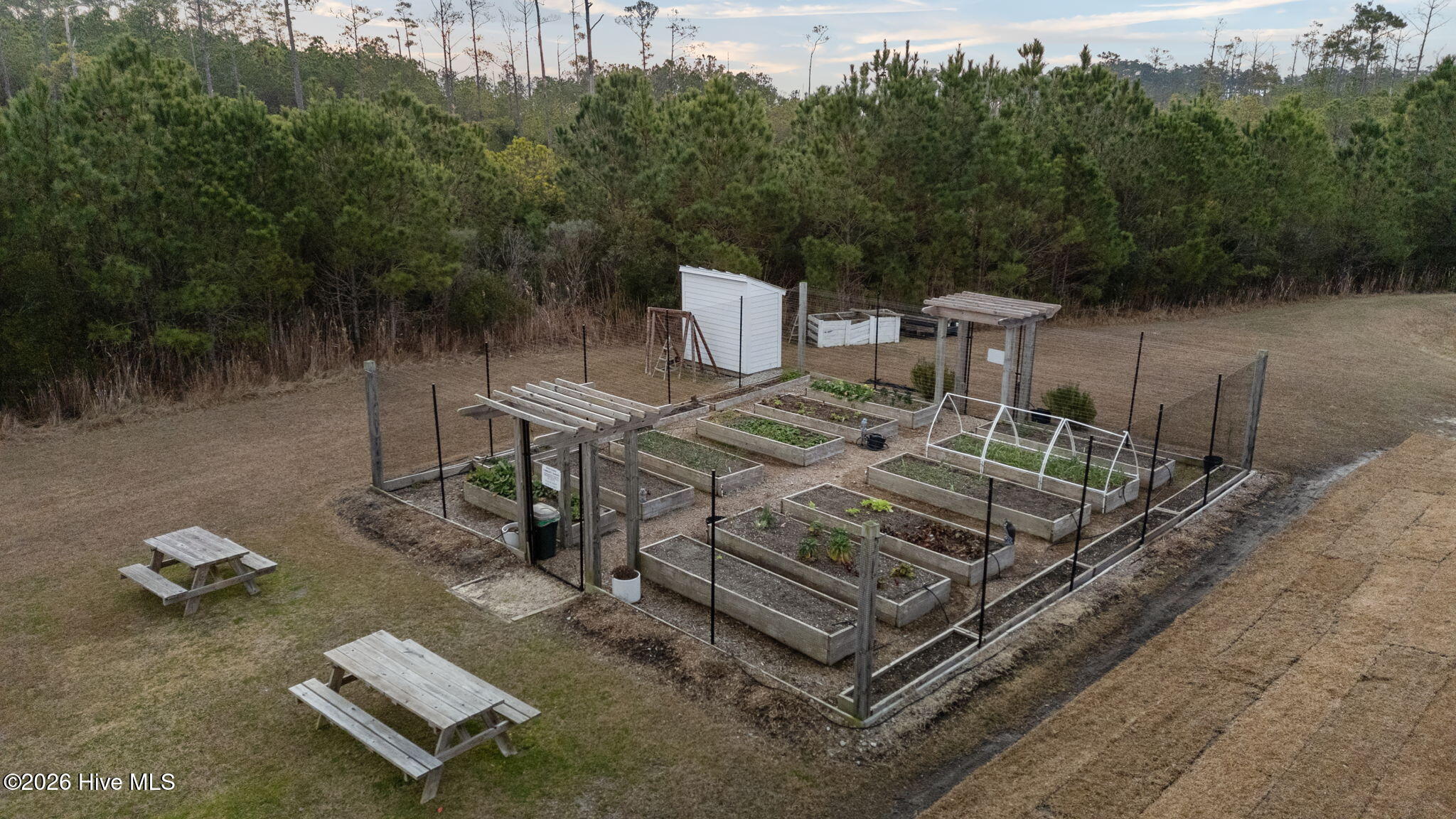 178 River Watch Road Oriental, NC 28571 - Photo 19 of 30 20-web-or-mls-DJI_20260114085133_0073_D