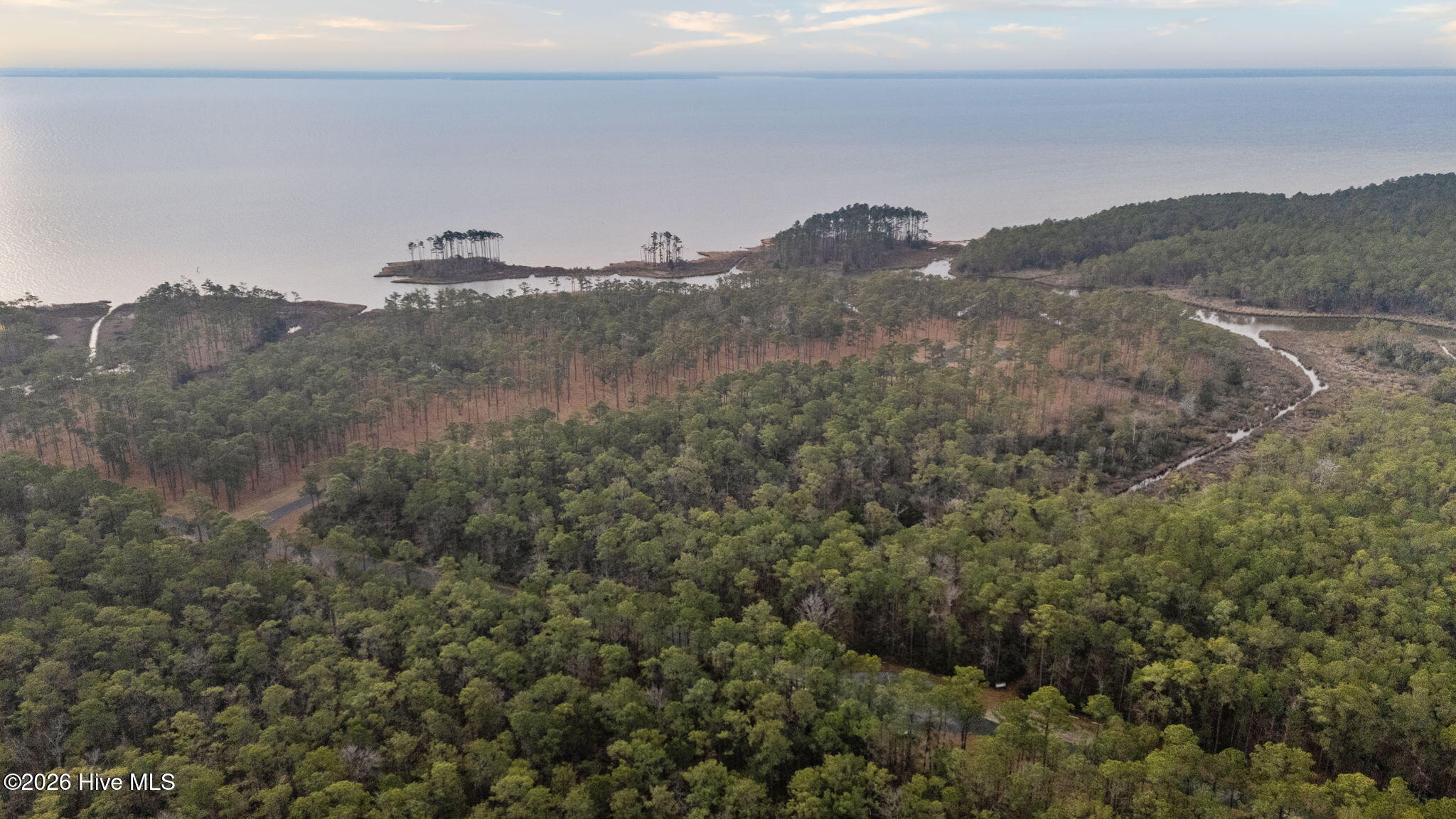 178 River Watch Road Oriental, NC 28571 - Photo 4 of 30 8-web-or-mls-DJI_20260114084013_0061_D