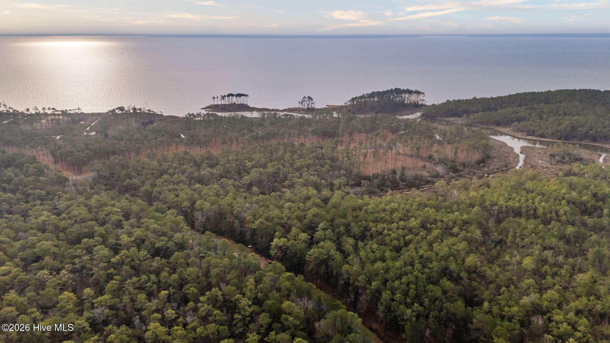 178 River Watch Road Oriental, NC 28571 - Photo 5 of 30 9-web-or-mls-DJI_20260114084053_0062_D