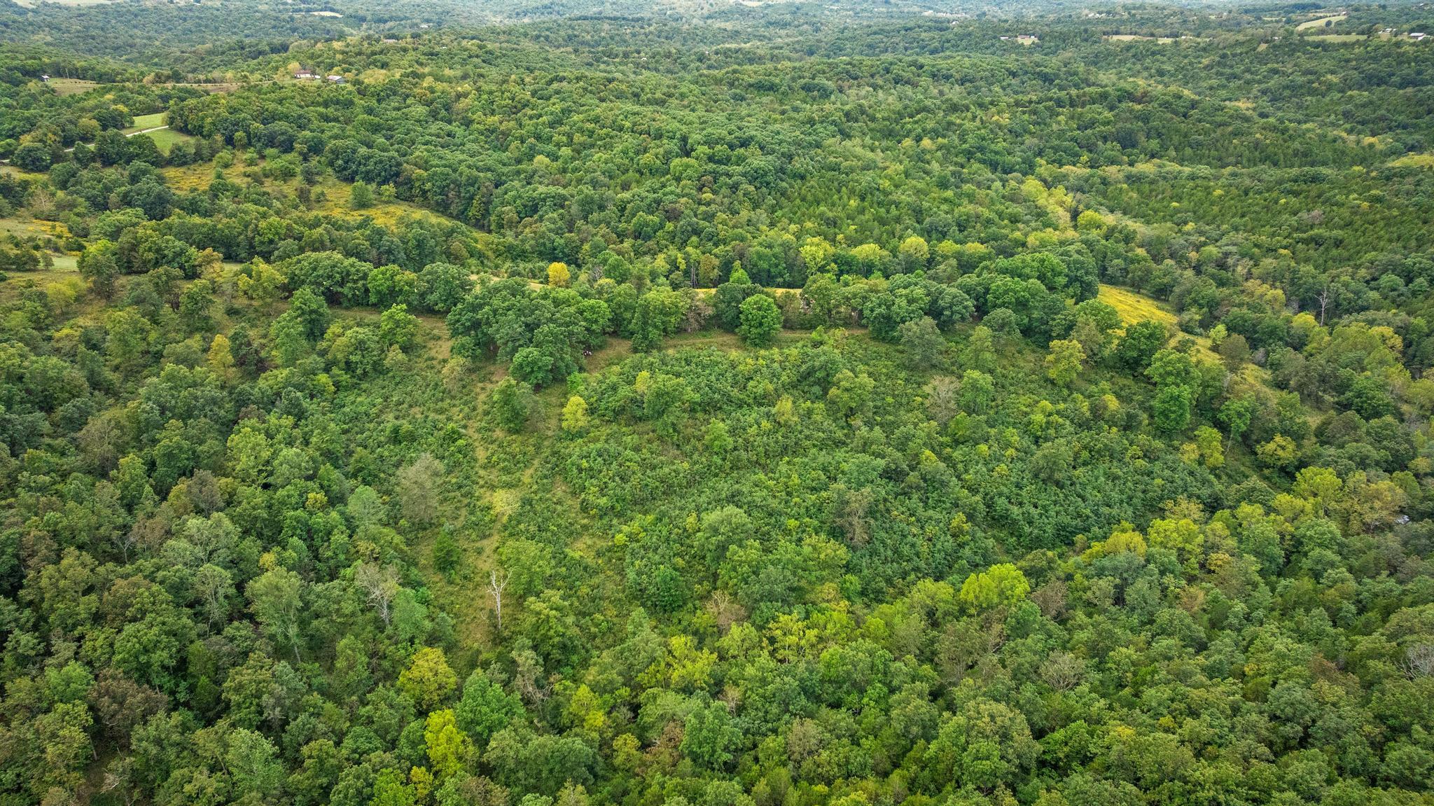 0 New Zion Road Foster, KY 41043 - Photo 14 of 23 DJI_20260830140041_0489_D