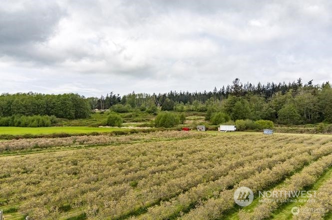 20 State Rte 20 Oak Harbor, WA 98277 - Photo 1 of 5 a view of a yard with an outdoor space