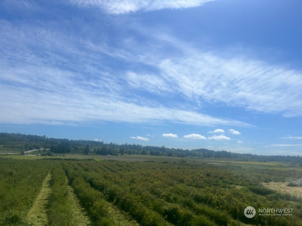 20 State Rte 20 Oak Harbor, WA 98277 - Photo 4 of 5