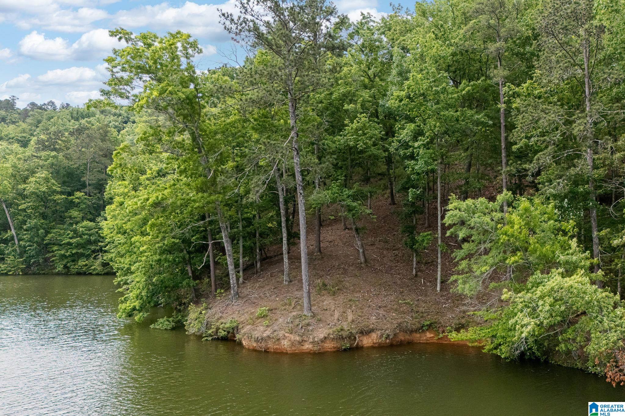 2317 Waldrop Road, Unit 4 AND 5 Ashville, AL 35953 - Photo 27 of 38